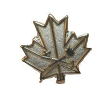 Federal Corrections Lapel Pin