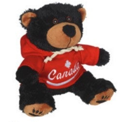 Stuffed Animals with Hoodies