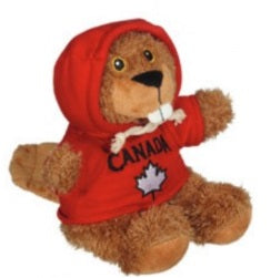 Stuffed Animals with Hoodies