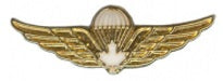 Gold jump wings with white maple leaf