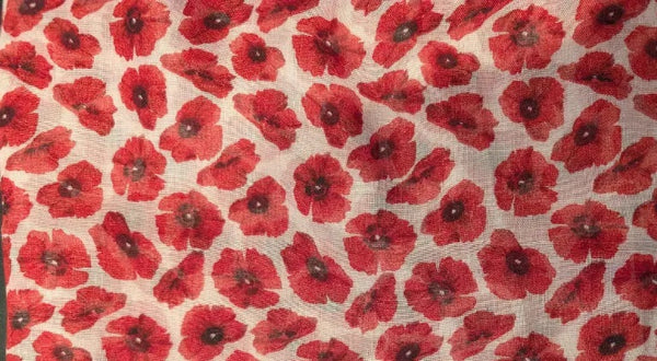 Small poppies on a white background