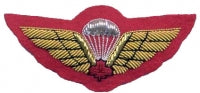 Cloth jump wing with red maple leaf on red background.