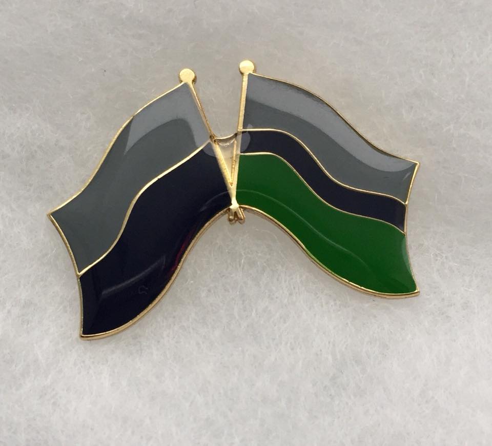 Crossed flag pin featuring the C&E and RCCS flags