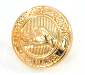 Gold engeneering button featuring a beaver in the center of the button.