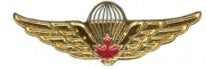 Gold jump wing lapel pin with red maple leaf