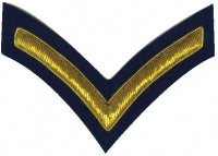 Gold embroidered private rank on blue background.