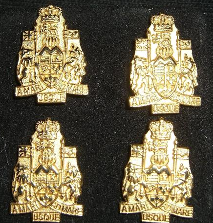 Set of four gold shirt studs in the shape of the Chief Warrant Officer Crest.