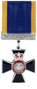 White, silver and red face of the Member of the Order of Military Merit. Gold and blue ribbon is also shown.