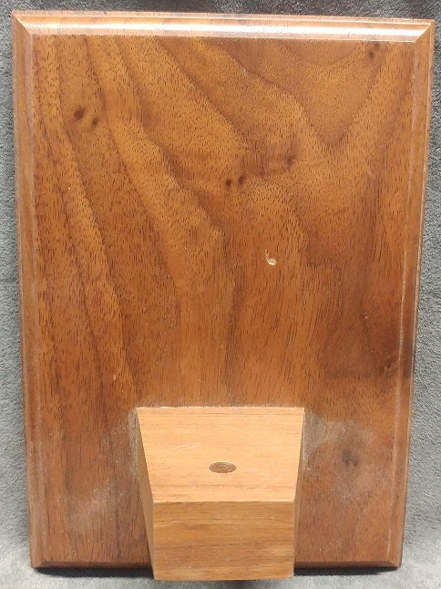 Wood wall plaque with insert for mini statue.